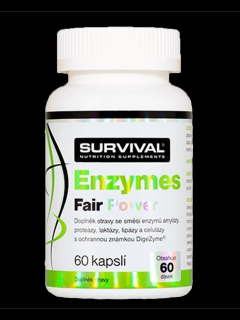 Survival Enzymes Fair Power 60 cps