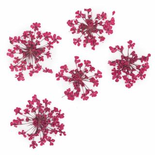 Starnails Sušené květy na nehty - Fuchsia, 5 ks