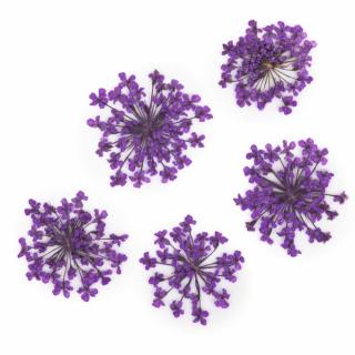 Starnails Sušené květy na nehty - Purple, 5 ks