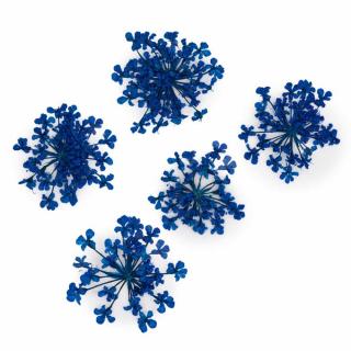 Starnails Sušené květy na nehty - Royal Blue, 5 ks