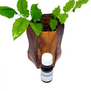 Eukalyptus 100% silice – 220 ml