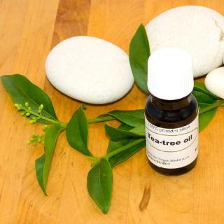 Tea Tree 100% silice – 30 ml