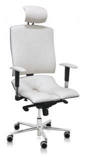 Ergonomická kancelářská židle Asana Architect  11 barev Barva čalounění: Eko kůže Krémová 554