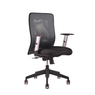 Ergonomická kancelářská židle OfficePro Calypso  5 barev Barva: antracitová