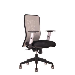 Ergonomická kancelářská židle OfficePro Calypso  5 barev Barva: šedá