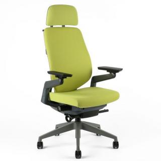 Office Pro Karme Barva: zelená