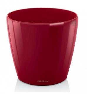 Lechuza classico LS 21 - scarlet