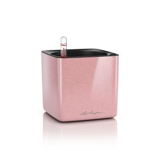 Lechuza Cube Glossy 14 - cashmere cream