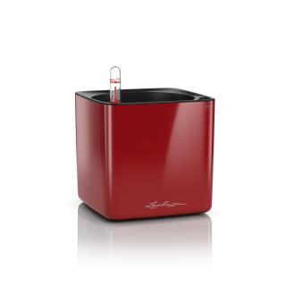 Lechuza Cube Glossy 16 - scarlet