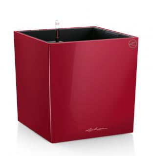 Lechuza Cube Premium 50 - scarlet