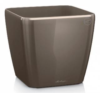 Lechuza Quadro LS 21 - taupe