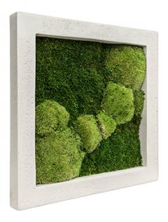 Mechový obraz Polystone natural 50x50 cm