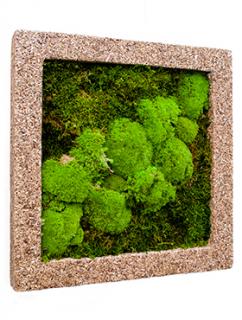 Mechový obraz Polystone nature cast 50x50 cm