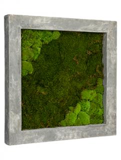 Mechový obraz Polystone raw grey 70x70 cm