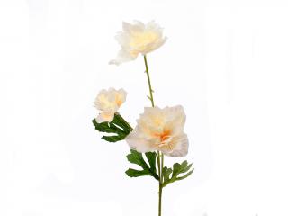 Čajová růže 3 květy 67 cm color