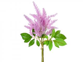 Čechrava color 72cm astilbe