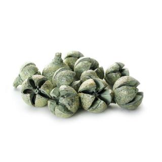 Dekorační sušené plody eucalypt mentol