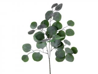 Eucalyptus 45 cm