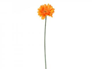 Gerbera oranžová 45 cm