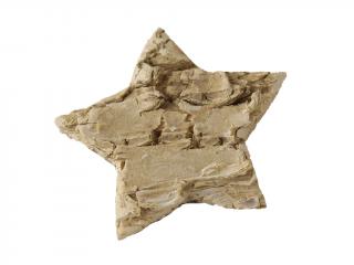 Hvězda kůrová 2,5 cm cca 110 ks naturální
