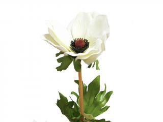 Květ látkový vlčí mák bílý