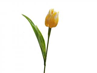 Květ tulipán 43 cm color