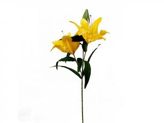 Lilie 3 květy 70 cm žlutá
