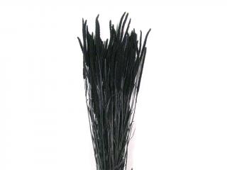 Obilovina phleum 100g černá