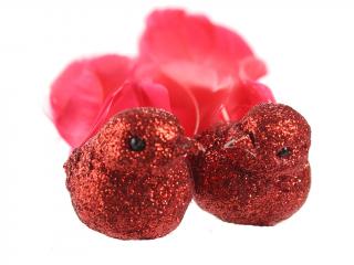 Ozdoba pták polystyrenový 9 cm 2 ks glitter červený