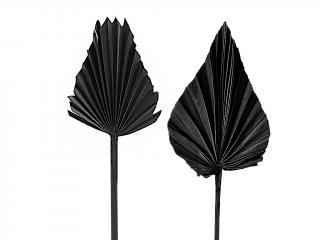 Palm spear medium bělený černý