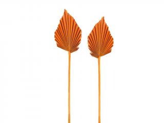 Palm spear medium oranžový