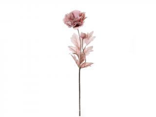 Pryskyřník zasněžený růžový 58 cm