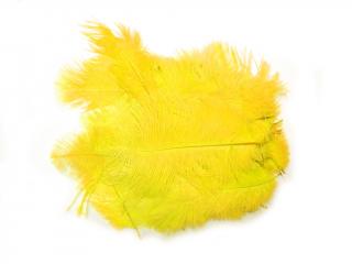 Pštrosí pera přízdoba 10-12cm 350g žlutá