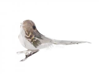 Ptáček plast peří 6 cm 12 ks na klipu šedý
