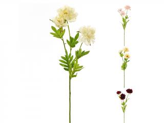 Ranunculus 3 květy 55 cm color