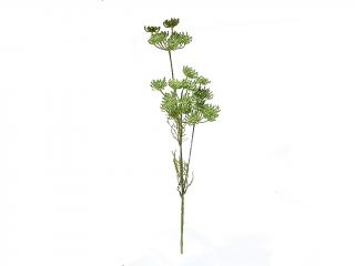 Trachelium zelené 45 cm