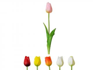 Tulipán 47 cm color