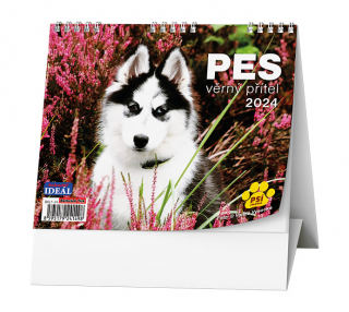 Kalendář stolní 2024 Pes věrný přítel