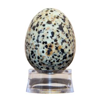 Kamenné vajíčko - jaspis dalmatin