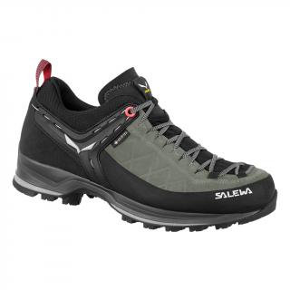 Salewa Mtn Trainer 2 Gtx W Velikost EU: 39
