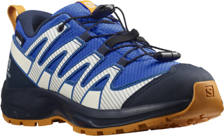 Salomon Xa Pro V8 Cswp J Velikost EU: 39