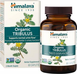 Himalaya Organic Tribulus, Kotvičník zemní, BIO, 60 kapslí  Doplněk stravy