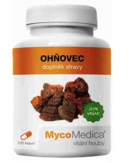 MycoMedica Ohňovec, extrakt, 400 mg, 120 rostlinných kapslí