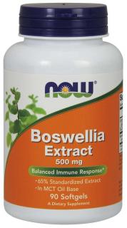 NOW Boswellia Extrakt, 500 mg, 90 softgelových kapslí