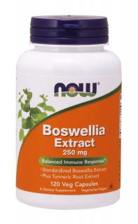 NOW Boswellia Extrakt + Extrakt z kurkumy, 250 mg, 120 vegetariánských kapslí