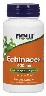 NOW Echinacea (Třapatka), 400 mg, 100 rostlinných kapslí