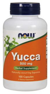 NOW Yucca, 500 mg, 100 kapslí