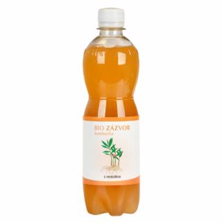 STEVIKOM - Kombucha zázvorová s meduňkou BIO, 500ml  *CZ-BIO-001 certifikát