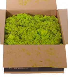 Dekorační stabilizovaný mech sv. zelený v boxu 2,7kg  (kvalitní norský sobí mech)