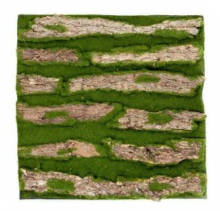 Umělá živá zelená stěna - MECH a kůra, 50 x 50cm